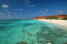 Dry Tortugas National Park Day Trip by Catamaran from Key West