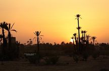 Sunset Camel Ride in the Palm Groves of Marrakech