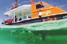 Fun Boat Snorkeling and Island Visit from Kota Kinabalu