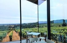 Oregon Wine Tour-Full Day Tour with Lunch Stop