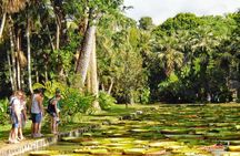 Private North Day Tour: Botanical Garden, Sugar Museum, Rum Tasting, Port Louis