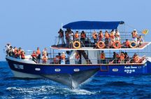 Whales and Dolphins Watching Mirissa 