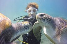 Scuba Diving Beginner's Session in Costa Adeje