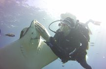 Scuba Diving Beginner's Session in Costa Adeje