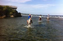 Roatan Excursion: Horseback Ride / Plus Sloth Park and Glass Bottom Boat