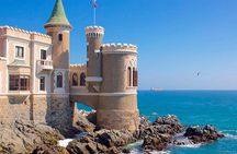 Private Valparaiso & Viña del Mar Pacific Treasures Tour 
