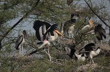Agra To Bharatpur Same Day Tour with Fatehpur Sikri