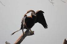 Agra To Bharatpur Same Day Tour with Fatehpur Sikri