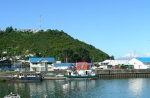 Private Tour: Puerto Montt Sightseeing