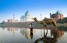 Private Taj Mahal Sunrise Tour from delhi by car All inclusive