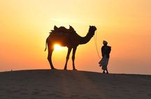 Morning Dune Bashing, Including Camel Riding and Sand Boarding from Dubai