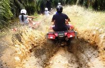 ATV & Canopy Tour From Flamingo Beach