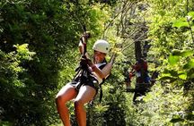 ATV & Canopy Tour From Flamingo Beach