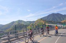 Panoramic Santiago Bike Tour