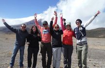 Elevate: A Day's Odyssey to Cotopaxi's Majestic Heights!