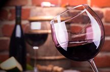 Mendoza Wine Route A Full Day Private Excursion