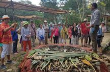 Mayan Village and Tequila Tour