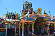 Delft & Nagadeepa Islands: Private Full-Day Escape from Jaffna