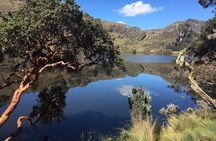 Guayaquil to Cuenca one-way tour with Cajas Park and a Cacao Farm visit