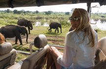 Private Tour: Udawalawe National Park Safari