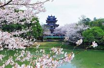 Private Round Trip Transfer to Top Wuxi Attractions from Shanghai