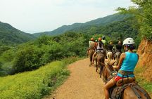 Canopy River Zipline Tour