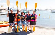 Santa Barbara Harbor Kayak Tour
