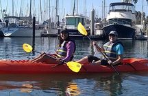 Santa Barbara Harbor Kayak Tour