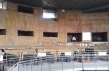 Full day Tour of WW2 in Northern France the Atlantic Wall, V1 and V2 Launching Sites From Bruges