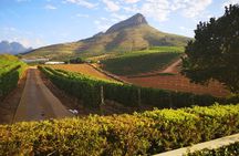 Private Cape Winelands Ful Day Ultra Flexible Guided Tour.