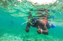 Catamaran Group Sightseeing, Snorkeling Tour Isla Mujeres
