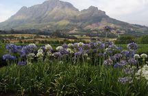 Private Cape Winelands Tour from Cape Town