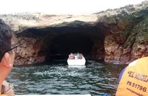 Sea Lions !!! Experience in the Ocean