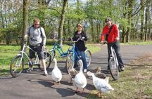 Cheese, Canals & Windmill Countryside E-Bike Tour Amsterdam