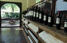 Private Cape Winelands Tour from Cape Town