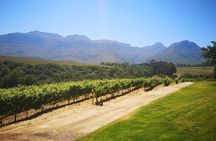 Private Cape Winelands Tour from Cape Town