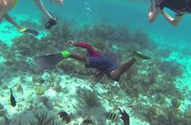 Private Catamaran Booze Cruise & Snorkeling