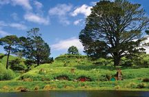 Hobbiton Movie Set Tour with lunch from Auckland
