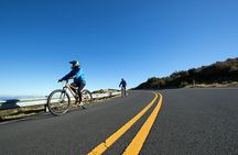 Haleakala Express Guided Bike Tour with Bike Maui