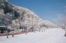 Private 1:1 Ski Lesson near Seoul, South Korea