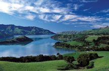 Akaroa Shore Excursion: Banks Peninsula and Christchurch City Sights Tour