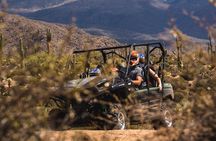Scottsdale & Phoenix Guided Desert UTV Tour 