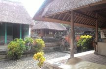 Custom Private Tour: Experience East Bali