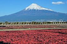 Mt Fuji Private One-Day Tour by Chartered Vehicle from Tokyo