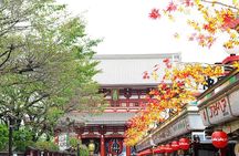 Private Tokyo Custom Full-Day Tour by Chartered Vehicle