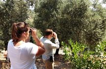 Bird Watching Tour from Kusadasi