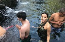  Ubud Temple Tour & Purification and Rice Terrace