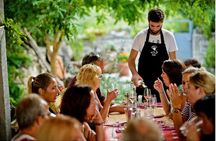 Private trip to NP Krka & Wine testing & Primosten from Split