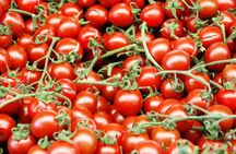 Turkish Villages and Local Life from Izmir