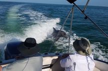 Half-Day Private Boating On Black Hurricane - Clearwater Beach